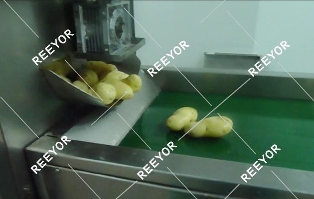 Full Automatic Frozen Frience Fries Production Line
