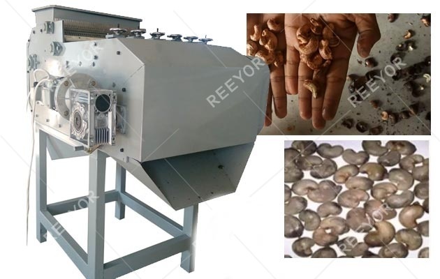 Automatic Cashew Shelling Machine for Sale