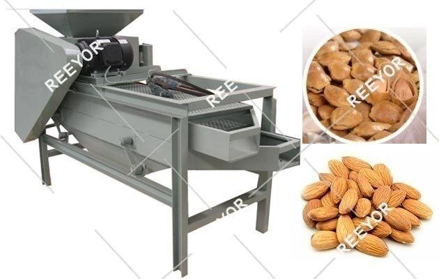 Small Almond Cracking and Shelling Machine