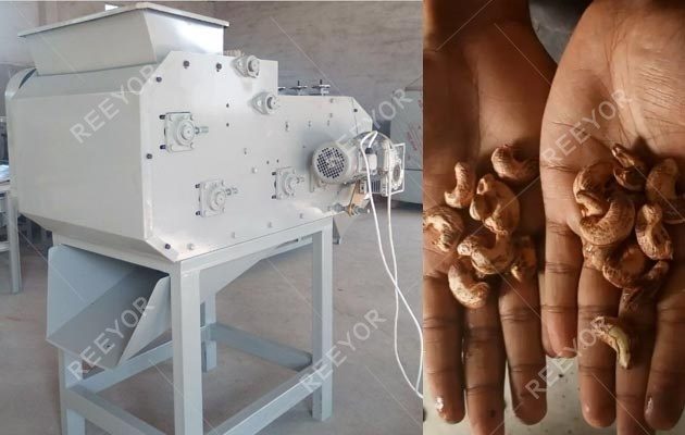 Cashew Nut Shelling Machine Manufacturer