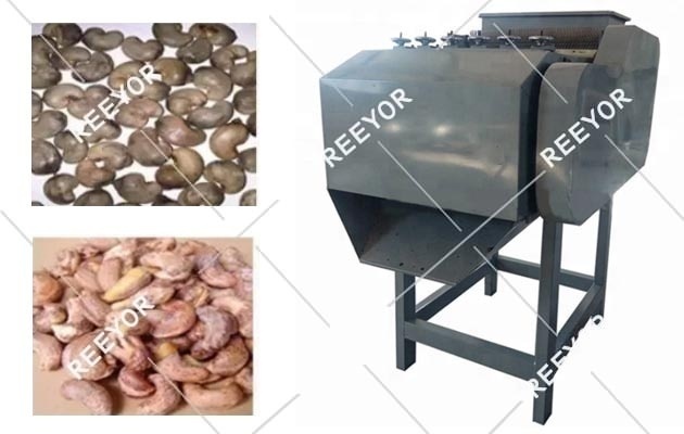 Cashew Shelling Machine Manufacturer